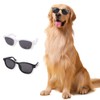 Mini Pet Sunglasses UV Protection Windproof Goggles for Dogs and