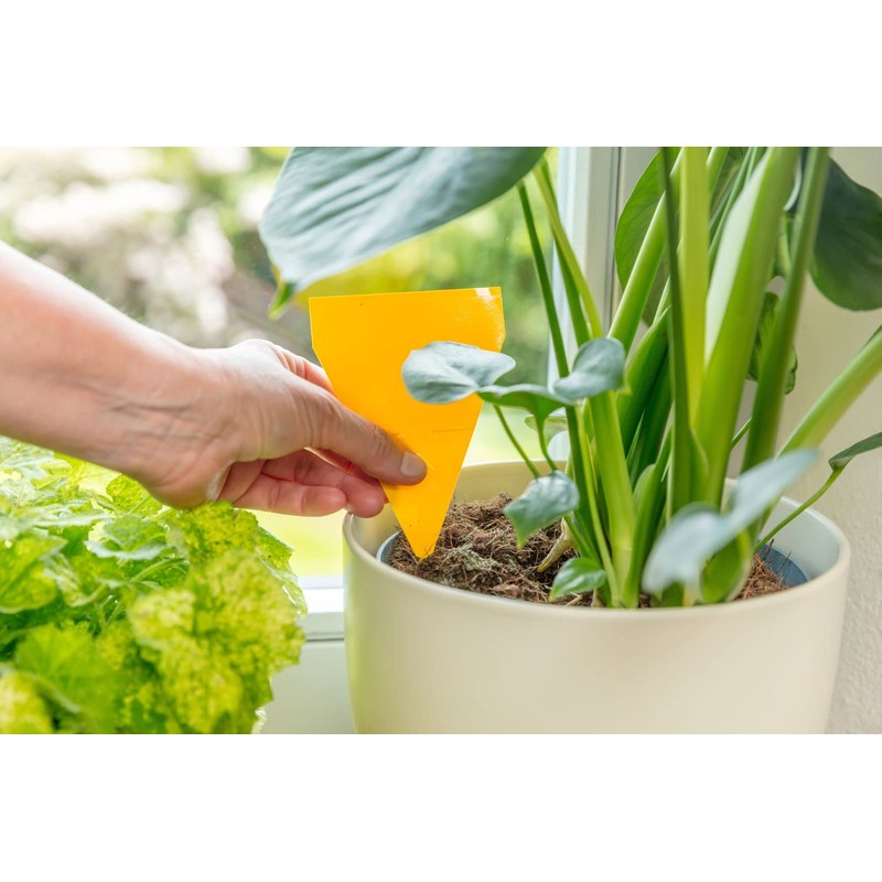 Neudorff Yellow Sticker