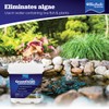 BioSafe Systems 3002-8 GreenClean Granular Algaecide String Algae Control for