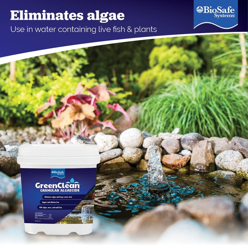 BioSafe Systems 3002-8 GreenClean Granular Algaecide String Algae Control for
