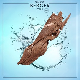 MAISON BERGER Aquatic Wood Scented Bouquet Refill 200ml