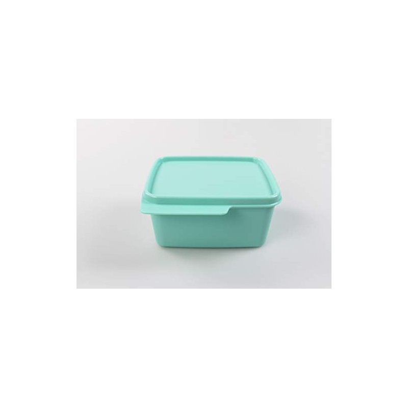 Tupperware Fridge 500 ml Mint Cool Corner Fresh Master Christmas