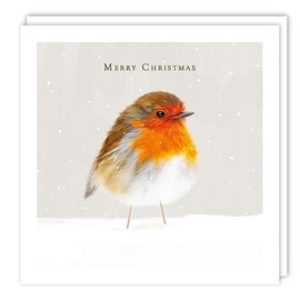 Tracks Publishing Charity Christmas Cards - Fluffy Robin in the Snow - Eco-Friendly - Pack of 5 Cards