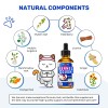 Kennel Cough Relief for Cats & Dogs | Pet Cough