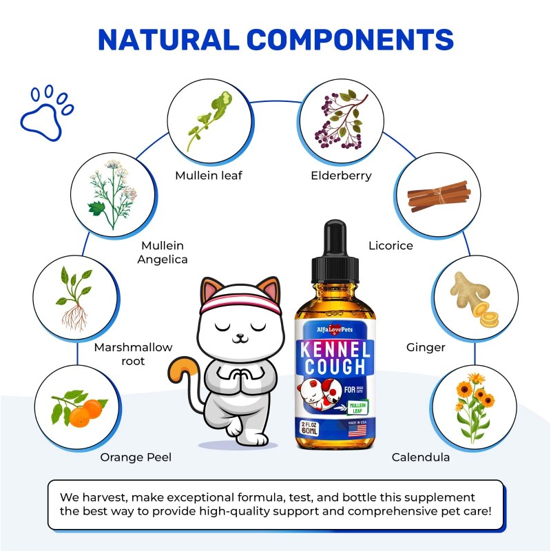 Kennel Cough Relief for Cats & Dogs | Pet Cough
