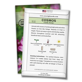 Sow Right Seeds - Candystripe Cosmos Flower Seeds for Planting, Beautiful Flowers to Plant in Your Garden; Non-GMO Heirloom Seeds; Wonderful Gardening Gifts (1 Packet)