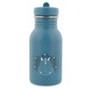 Trixie - Children's Stainless Steel Water Bottle 350ml (Mr. Triceratops)