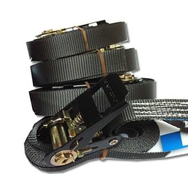 Timtina SETPREIS 4 STÜCK! Zurrgurte Spanngurte Ratschengurte Farbe nach Wahl 800 Kg 4 Meter En12195-2 (4 Meter, schwarz)