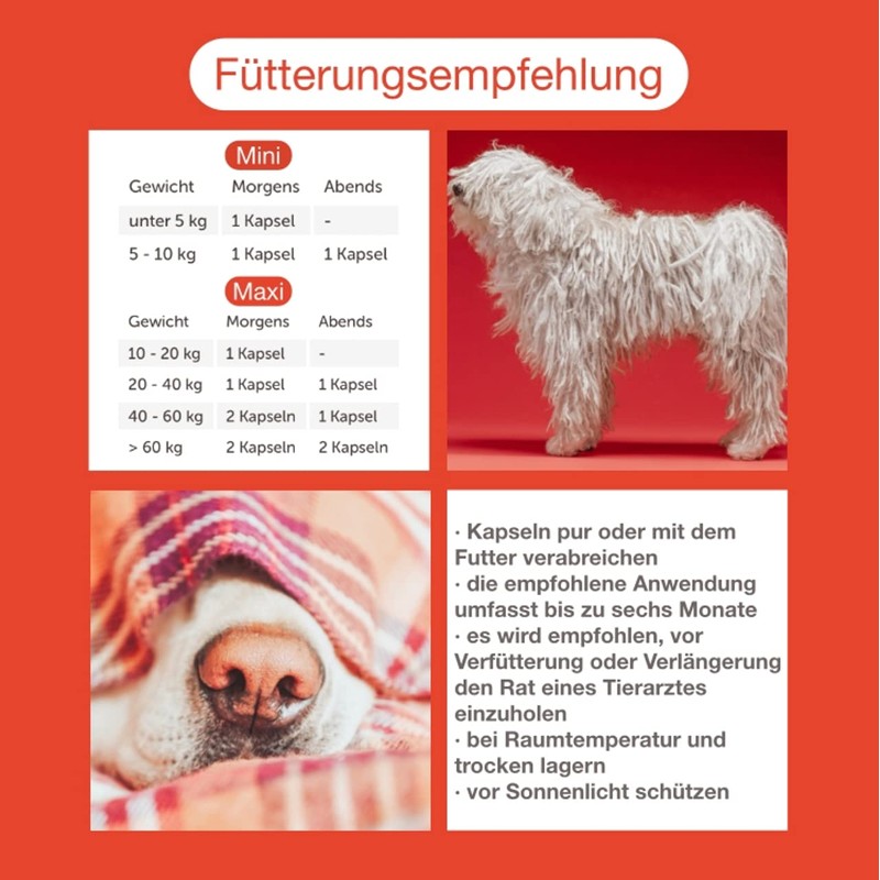 CaniMove Cardio Maxi Double Pack (200 Capsules) - Effective Support