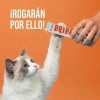 50 Premios Para Gato Cuidado Renal Probióticos Salmon