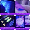 Black Light UV Light Flashlight, 21 LED 395nm Ultraviolet Blacklight