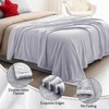 NovaSunrise 3-Pack Fleece Throw Blankets 50x60, 300GSM Soft Flannel Plush