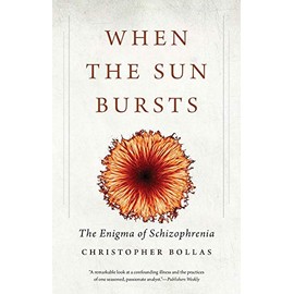 When the Sun Bursts: The Enigma of Schizophrenia