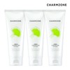 Charmzone Ginkgo Natural Hypoallergenic Cleansing Foam 200ml 3pcs / 참존 징코 내츄럴 저자극 클렌징 폼 200ml 3개