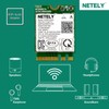 NETELY IEEE 802.11AC WiFi 5 NGFF M2 Interface 1200Mbps WiFi