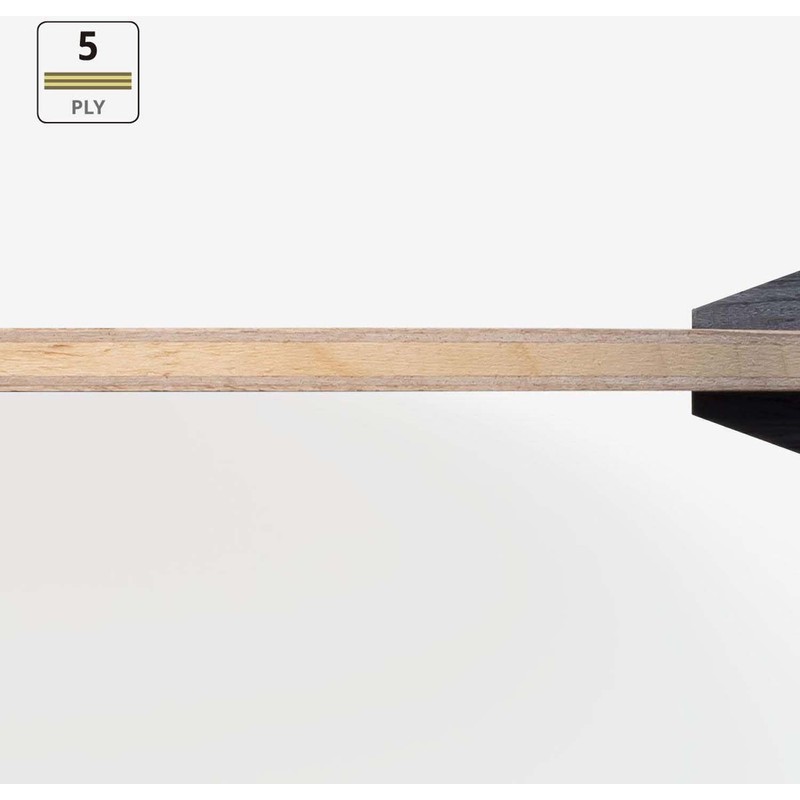 Butterfly FL 37101 Table Tennis Shake Cracket, Diode Pro