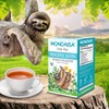 MONDAISA - Peaceful Sloth Rainforest Relaxation Herbal Tea from Costa