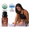 OLEUM VITAE Aceite Esencial de Lavanda 30ml. Lavandula Angustifolia. 100%