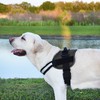 Dogline Dog Harness, Reflective No-Pull Adjustable Vest with Handle for