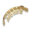 JINAO Gold Bottom 8 Teeth Grillz for Women 14K Gold