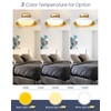 kudos White and Gold Ceiling Light Fixture 2 Pack, LED