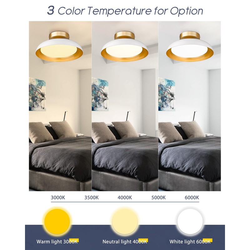 kudos White and Gold Ceiling Light Fixture 2 Pack, LED