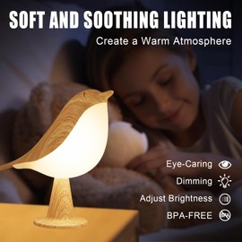 Vquand 2 Pack ird Small Desk Lamp, Dimmer Kids Night Light for Bedroom, Cordless Table Lamp with 3 Color Temperature and Touch Sensor, Rechargeable Bedside lamp, Hummingbird Lamp