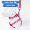 Pawtitas 6 FT Reflective Dog Leash with Comfortable Handle |