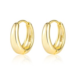 ALEXCRAFT Hoop Earrings 925 Silver for Women Earrings Small Huggie Hypoallergenic Earrings, Silver, No Gemstone