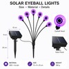 Solar Eyeball Lights for Halloween Decor – 6-Head Outdoor Stake