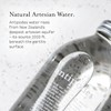 Antipodes Natural Artesian Still Water, 16.9 Fl Oz (500 mL)