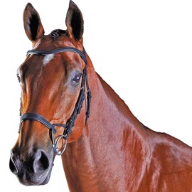 Collegiate Comfitec Training Bridle Black Full