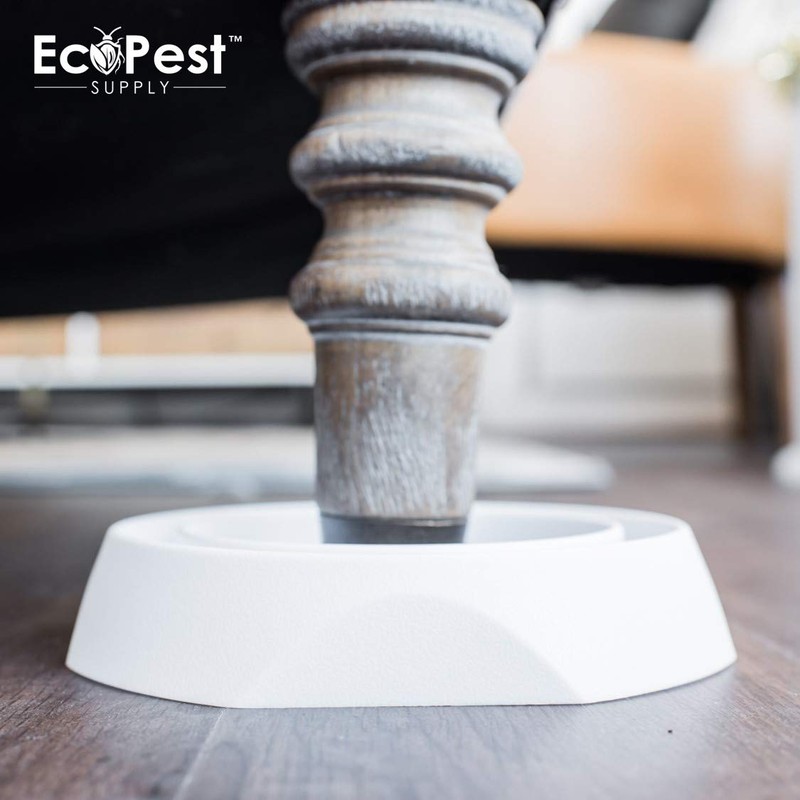 Bed Bug Interceptors – 12 Pack | Bed Bug Blocker