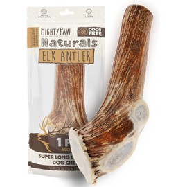 Mighty Paw Elk Antlers for Dogs | 1 Whole Monster Size 8" Premium Deer Antlers for Dogs, Pets and Puppies. Long Lasting Dog Bone for Aggressive Chewers. Dog Chews for Medium & Big Dogs (Pack of 1)