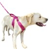DogFad Dog Harness No Pull Pet Adjustable Reflective Breathable Outdoor
