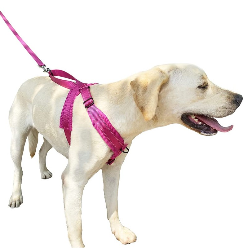 DogFad Dog Harness No Pull Pet Adjustable Reflective Breathable Outdoor