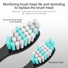 Replacement Brush Heads for Aquasonic Only Compatible with AquaSonic Black
