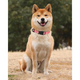 TagME Reflective Nylon Dog Collars, Adjustable Classic Pet Collar with Quick Release Buckle for Medium Dogs, Baby Pink, 1.0" Width