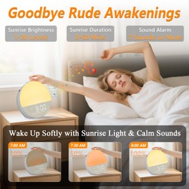 Wake Light Sunrise Alarm Clock: Gradual Wake Up Light, Protect Eyes, Adjustable Brightness, Alarm Clocks for Bedrooms, Bluetooth - 30 Sleep Therapy Sounds, White Noise Sound Machine for Adult (Gray)