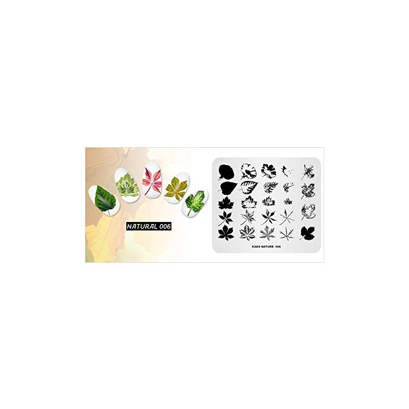 KADS Templates for Nails Leaf Nature Fall Stamping Plates Image