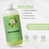 Shampoo De Aguacate Reparador Productos Mart Mexico 500 Ml