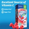 Wyler's Light Pitcher Packs, Water Drink Mix,Raspberry,6 Pitcher Packets