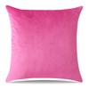Artscope Luxury Velvet Pillow Covers Decorative Square Pillowcases Soft Solid