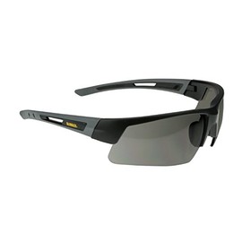 DeWalt DPG100-2D EU Safety Glasses