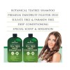 Tea Tree Mint Shampoo and Conditioner - Pure Tea Tree