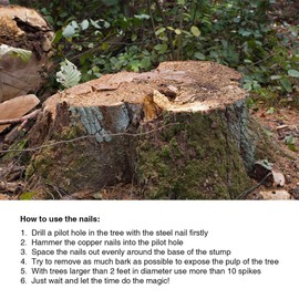 20Pcs Copper Nails for Killing Trees Stump Root 3.5 Inch Long Nail Spikes, Stump Removal Spikes with 2 Pcs Steel Nails