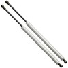 TENKIDOM Qty(2) Carbon Fiber Hood Struts Compatible with Honda Civic