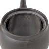 Tokonameyaki Teapot by Aoyama, Black Line Pattern, 600ml, Refreshing Strainer,