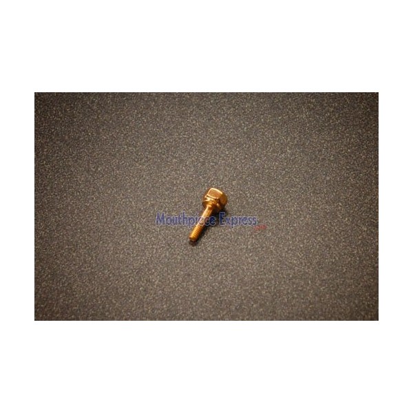 Schilke Trumpet Water Key Screw, 24K Gold Plated
