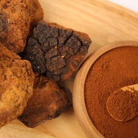 Chaga Mushroom Powder 500g Premium 100% Russian Chaga Mushroom / 차가버섯 분말 가루 500g 프리미엄 러시아산 차가버섯 100%